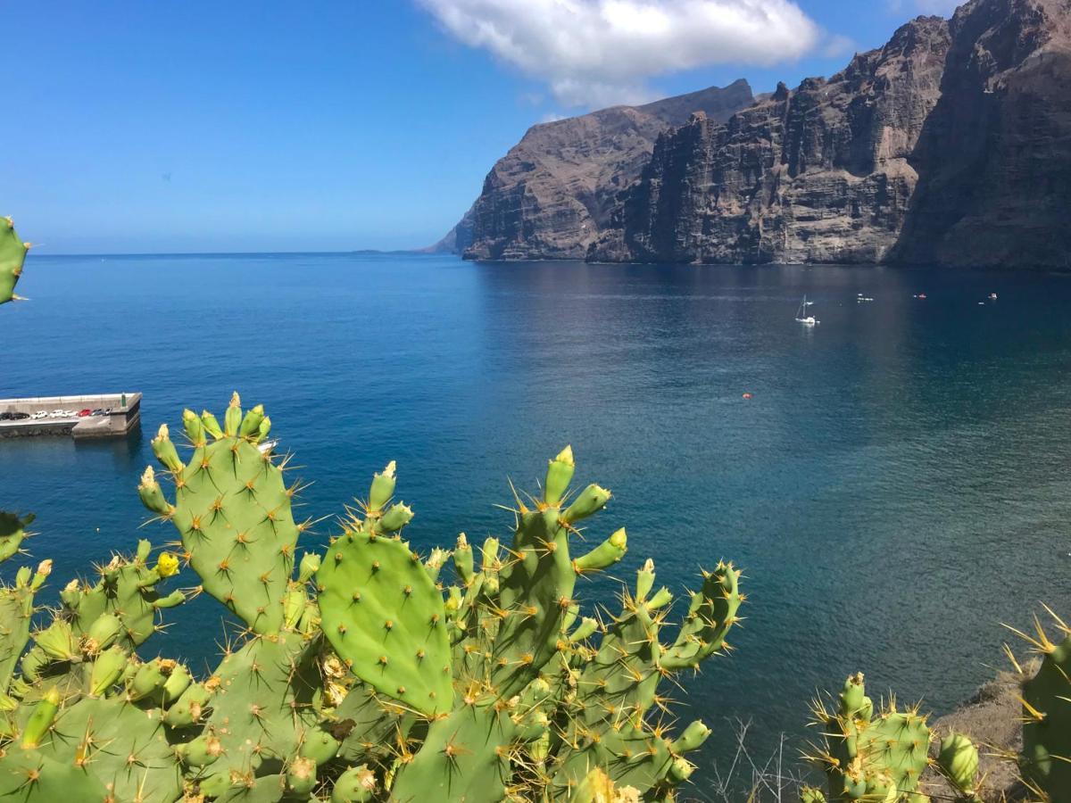 Apartamento Theresa Gigantes Puerto de Santiago (Tenerife)